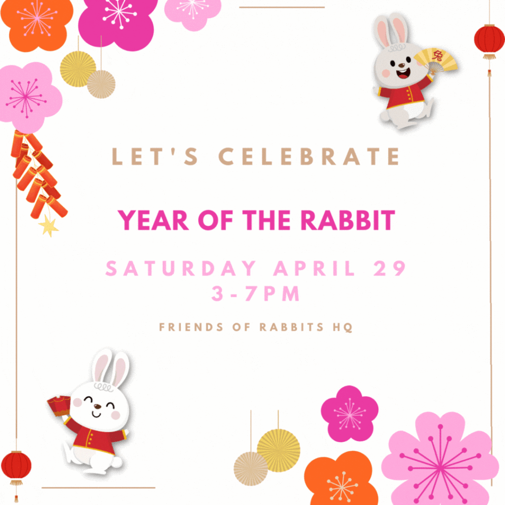 year-of-the-rabbit-party-2023-friends-of-rabbits